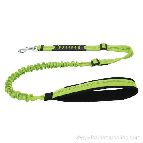Dog Bungee Leash Material Lights Personalized Padded Feather